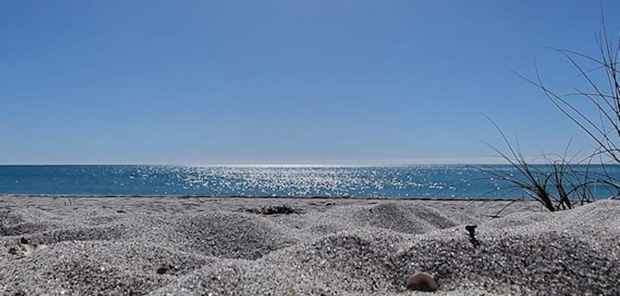 beach and ocean view